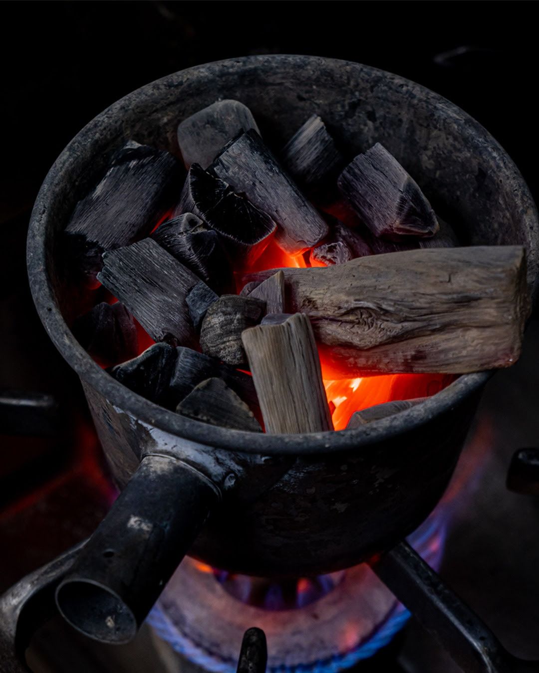 Pour briller le soir du réveillon, mettez vos grillz !